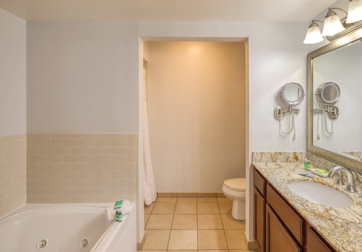 Bathroom 3, Club Wyndham Long Wharf, Newport