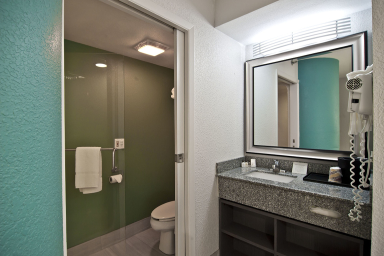 Bathroom 4, Inn @ Clemson, Pickens