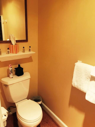 Bathroom 4, Campbell House Inn, Lane