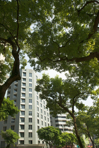Exterior & Views 2, Madison Taipei, a Tribute Portfolio Hotel, Taipei City