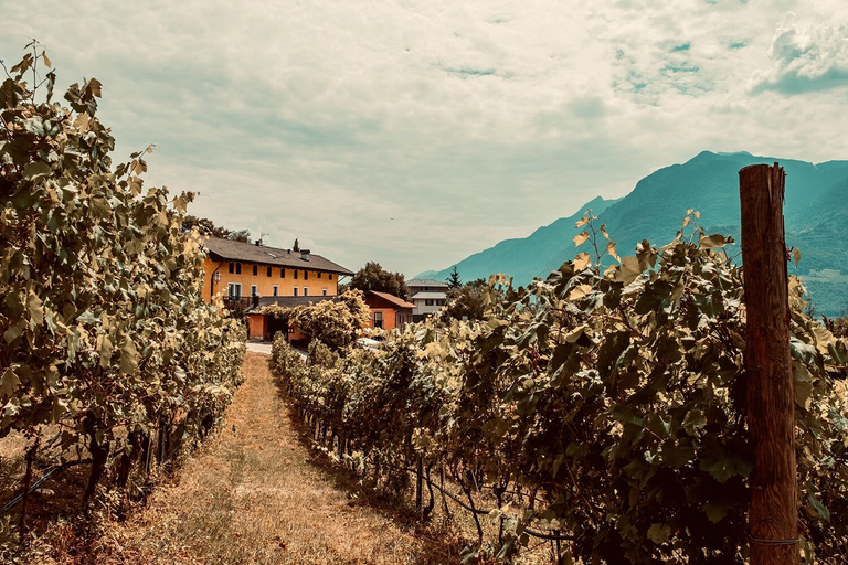 Others 4, Agritur Mas Dei Chini, Trento