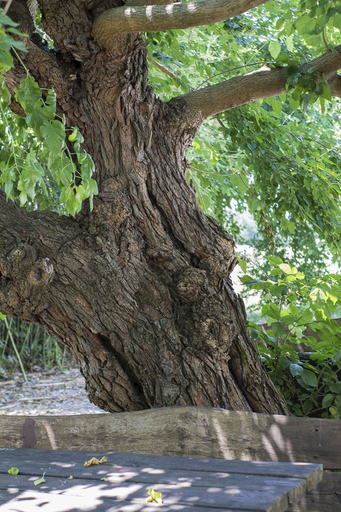 Others 5, Casa di Zela, Pistoia