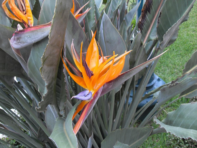Others 4, Hotel Playa Cristal, Catemaco