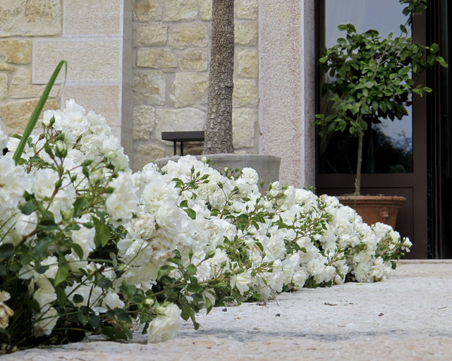 Exterior & Views 2, Delser, Verona
