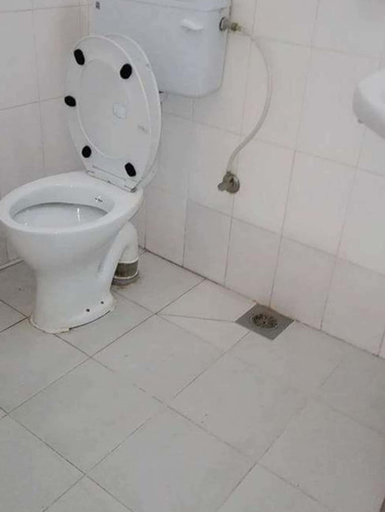 Bathroom 3, Hotel Sisters Home, Bagmati