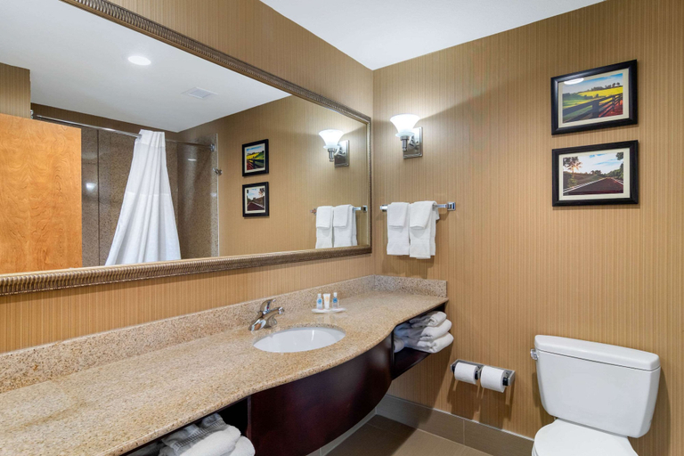 Bathroom 4, Comfort Suites Byron Warner Robins, Peach