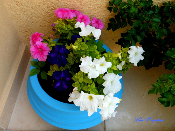 Bathroom 5, Apartments & Suites Papafotis, South Aegean