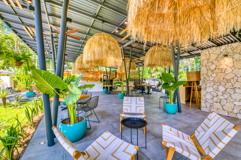 Food & Drinks 5, Exōtico Beach Hotel, Talamanca
