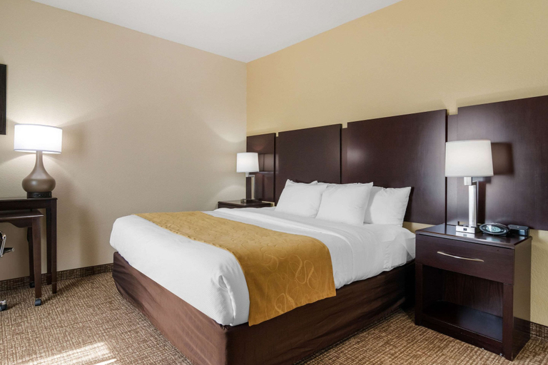 Bedroom 3, Comfort Suites Byron Warner Robins, Peach