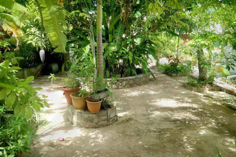Others 5, Lapasyans Self-Catering
