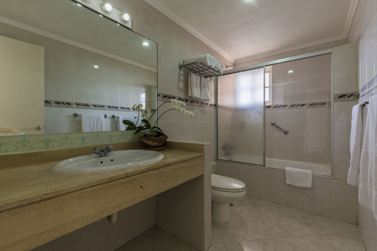Bathroom, King David Suites