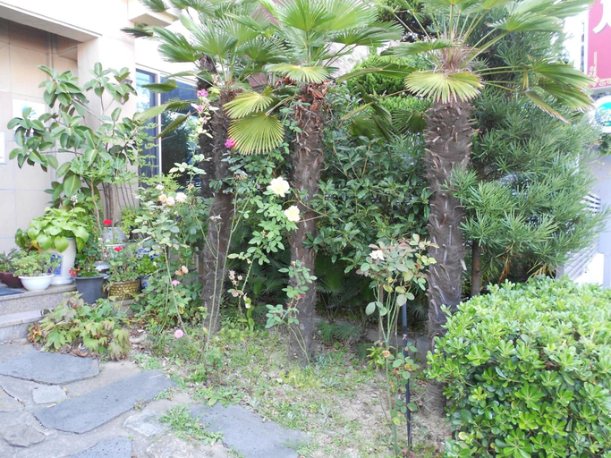 Others 4, Charmant Hotel, Muan