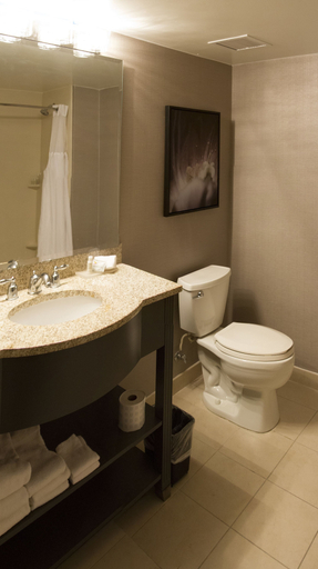Bathroom 5, TRYP by Wyndham Savannah Downtown/Historic District, Chatham
