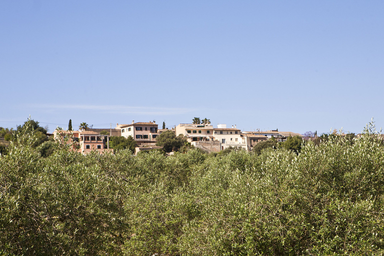 Exterior & Views 2, S'Hort de Son Caulelles - Adults Only, Baleares