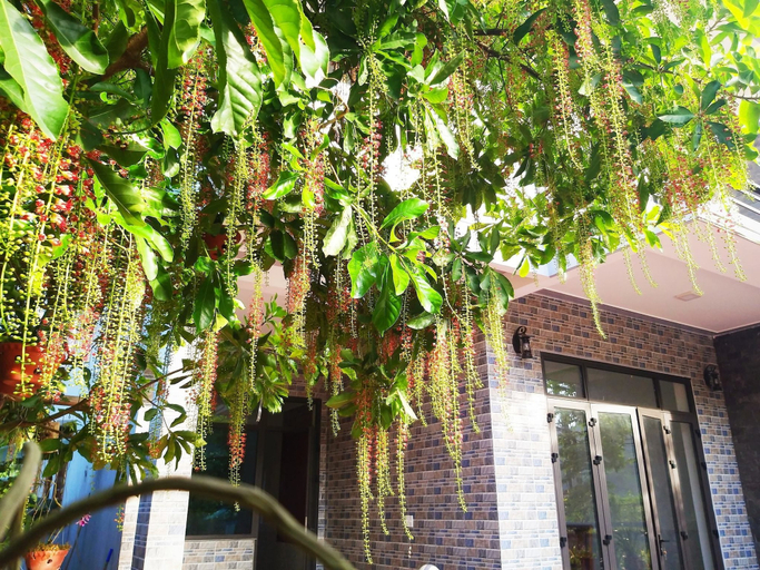 Exterior & Views 2, Loren Homestay, Bố Trạch