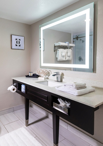 Bathroom 4, Palazzo Lakeside Hotel, Osceola