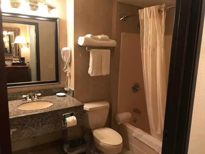 Bathroom 4, The Marx Hotel, Otsego