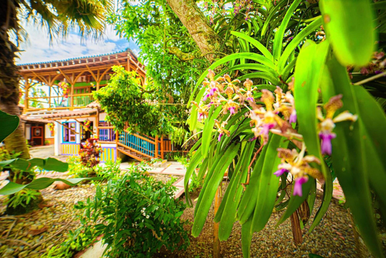 Exterior & Views 2, Eco Hotel Las Palmas, Armenia