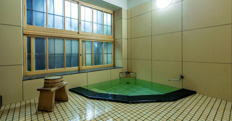 Bathroom 5, Gora Kansuiro, Hakone