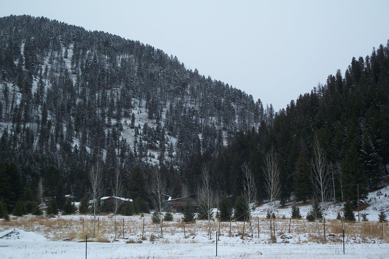Others 4, Terra Nova Cabins, Gallatin