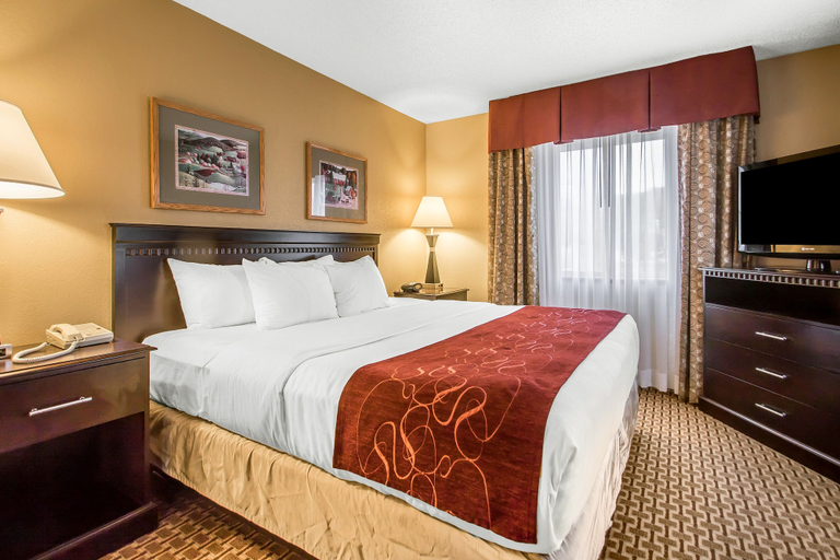 Bedroom 3, Comfort Suites Wisconsin Dells Area, Columbia