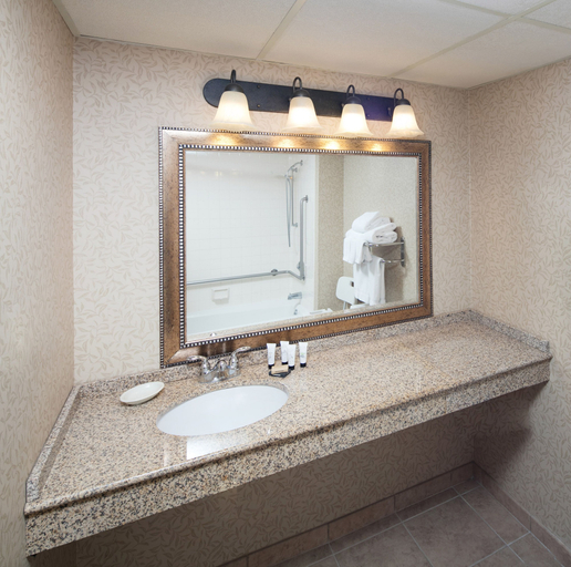 Bathroom 5, Red Lion Hotel Kalispell, Flathead
