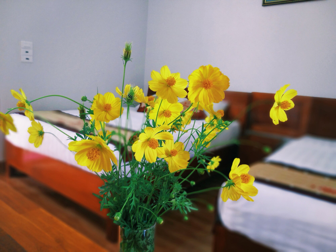 Bedroom 5, Loren Homestay, Bố Trạch