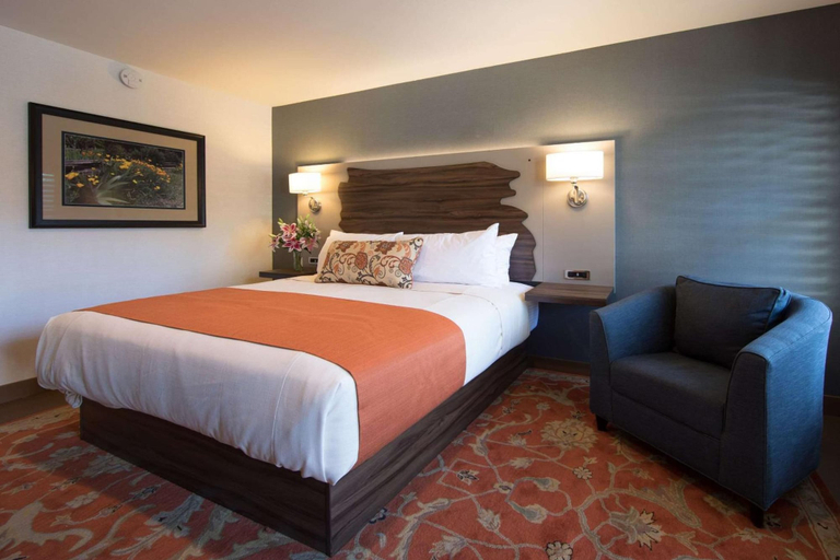 Bedroom 4, The Vine Inn Davis, Yolo