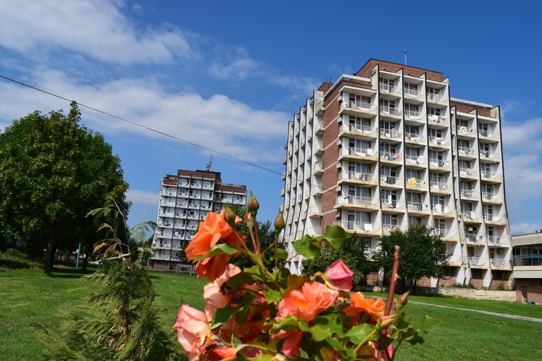 Exterior & Views 2, Balneo Hotel Pavel Banya, Pavel Banya