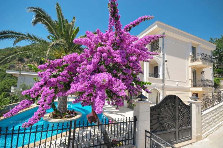 Exterior & Views, St. George Apartments and Villa with pool