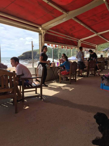 Food & Drinks 5, Camellia chalet, Cornwall