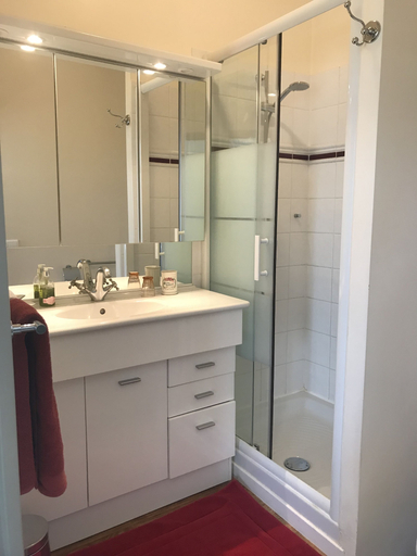Bathroom 5, Le Clos des Hautes Loges, Seine-Maritime