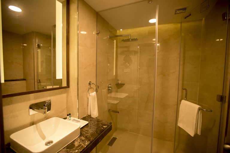 Bathroom 4, S Hotels Chennai, Chennai