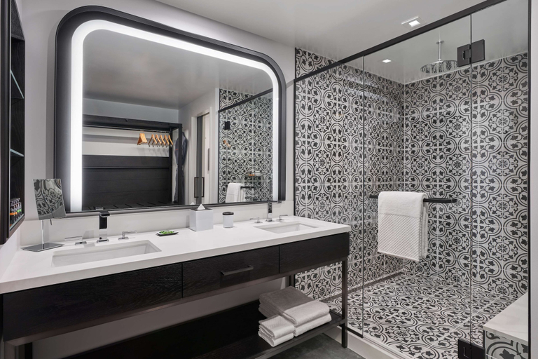 Bathroom 5, Canopy San Antonio Riverwalk, Bexar