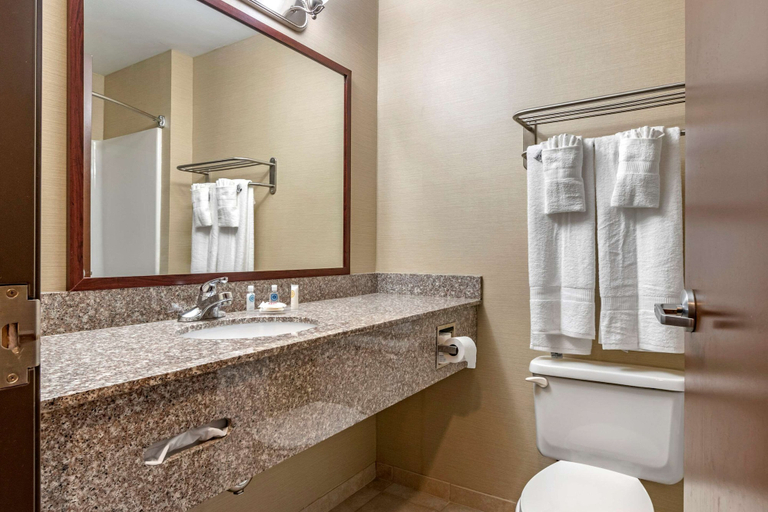 Bathroom 4, Comfort Inn Williamsport, Lycoming