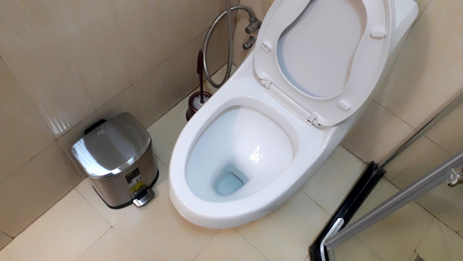Bathroom 4, Delano Hotel, Bahir Dar Special Zone