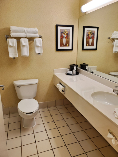 Bathroom 4, Wingate by Wyndham Uniontown, Fayette