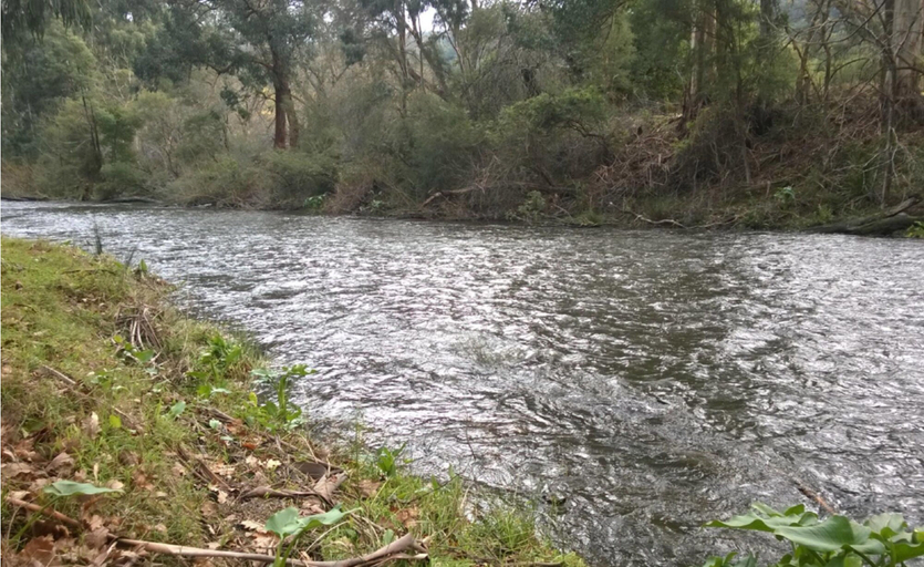 Others 4, Oscar’s On The Yarra, Yarra Ranges - Central