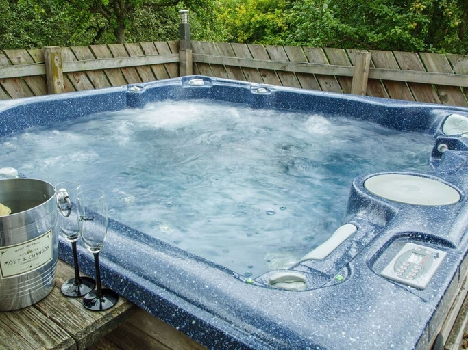 Sport & Beauty 2, Newsham Grange Farm Bed and Breakfast, North Yorkshire