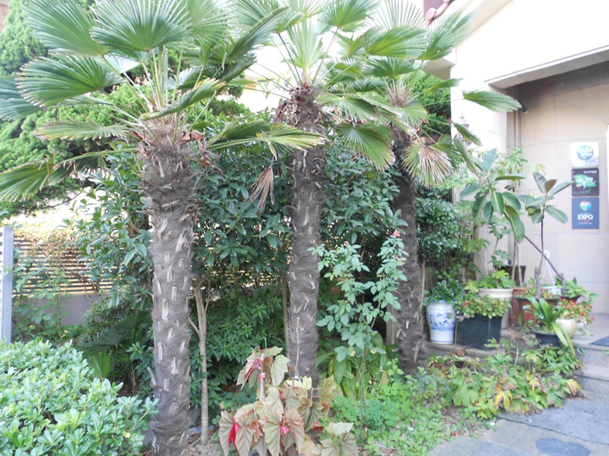 Others 5, Charmant Hotel, Muan