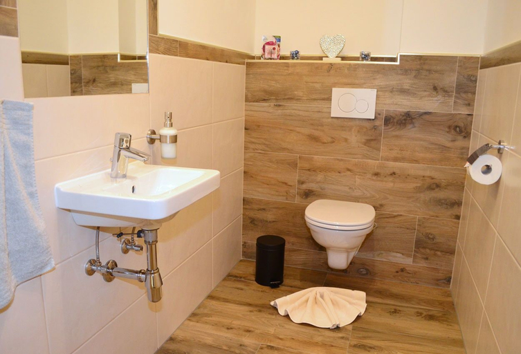 Bathroom 3, Denggnhof, Tamsweg