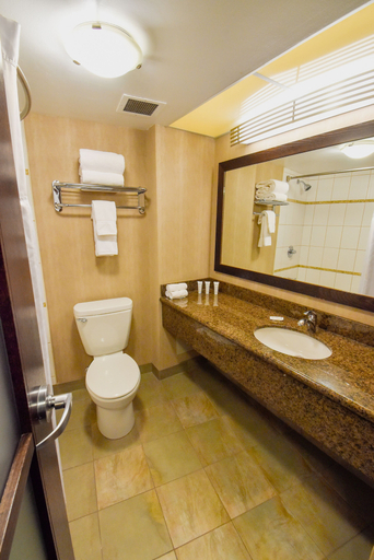 Bathroom 4, Radisson Hotel Winnipeg Downtown, Division No. 11