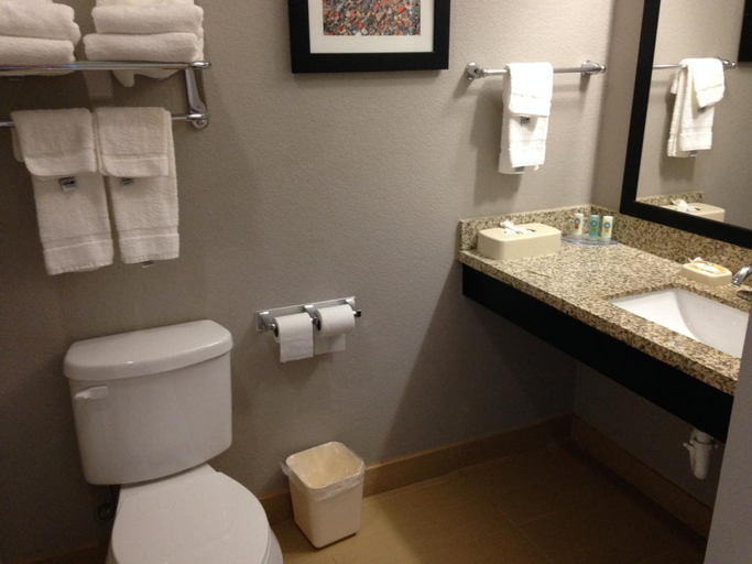 Bathroom 4, Scottish Inns & Suites, La Salle
