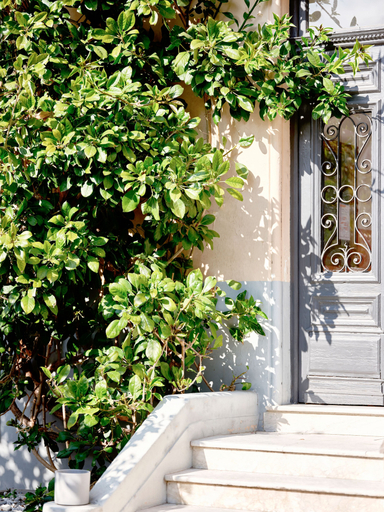 Exterior & Views 2, Hôtel Lemon, Alpes-Maritimes