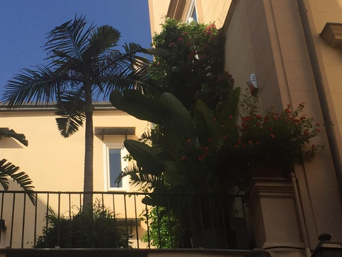 Exterior & Views 2, Da Cristina Palazzo Atanasio, Palermo