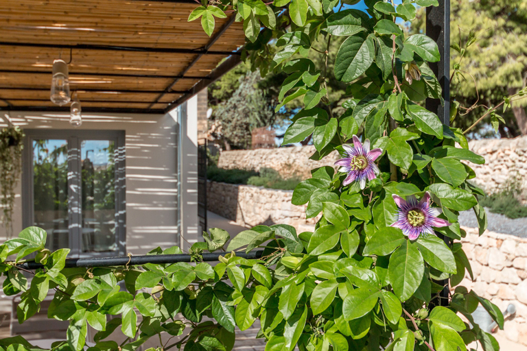 Exterior & Views 2, Mangiabove, Ragusa