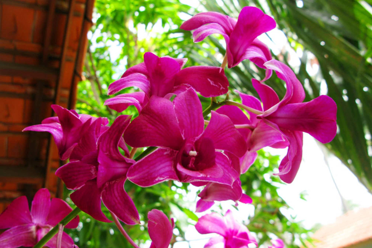 Others 4, Hiep Hoa Resort , Phan Thiết