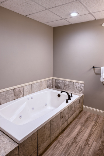 Bathroom 3, The Inn at Elijah McLeans, Franklin