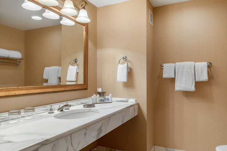 Bathroom 5, Omni Las Colinas Hotel, Irving