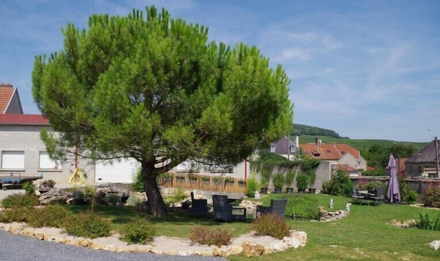 Exterior & Views 2, Chambres d'Hotes les Ondines, Marne